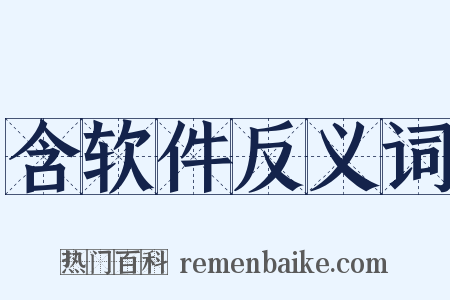 含软件反义词是什么意思的图片